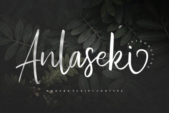 Anlaseki: A Stylish Font for Business Branding