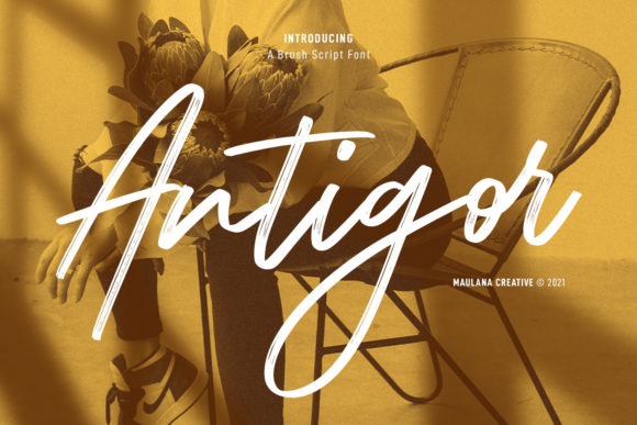 Antigor: A Modern Script Font for Web Design