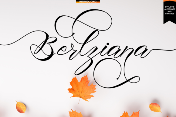 Beautiful Script Font for Campaigns