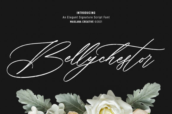 Bellychestor: A Script Font for Creative Campaigns