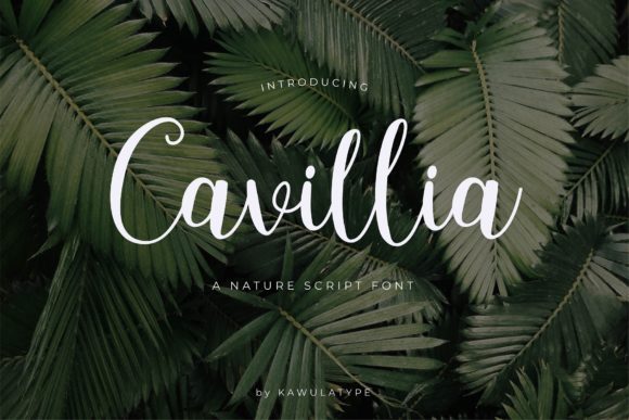 Cavillia: A Delicate Script Font