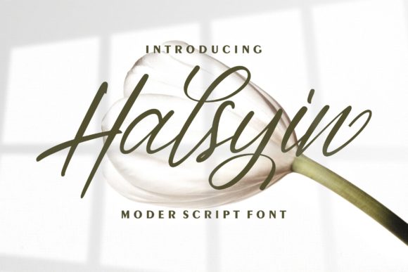 Halsyin: A Delicate Handwritten Font