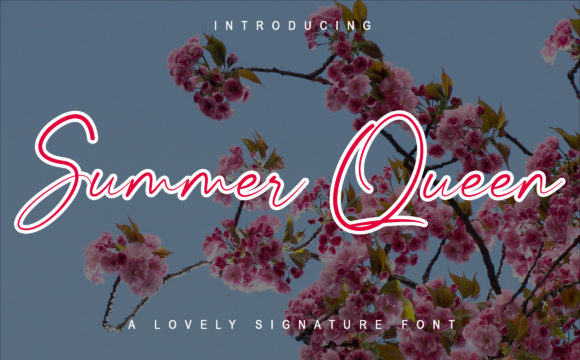 Summer Queen Font for Web Design